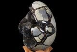 Septarian Dragon Egg Geode - Black Crystals #78549-2